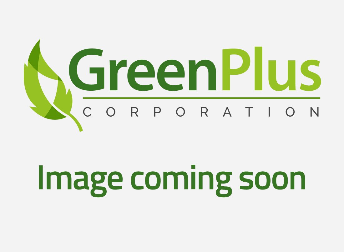 placeholder – GreenPlus Corporation